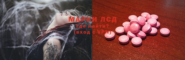 индика Балабаново