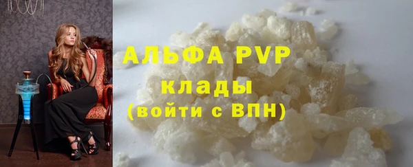 индика Балабаново