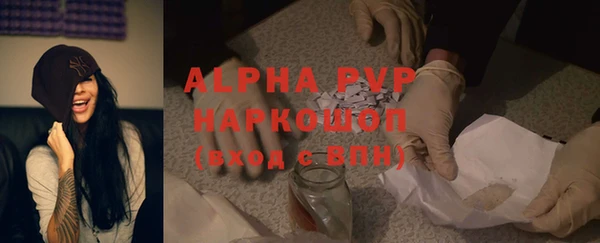 индика Балабаново