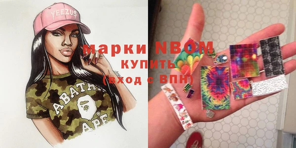 индика Балабаново