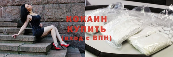 индика Балабаново