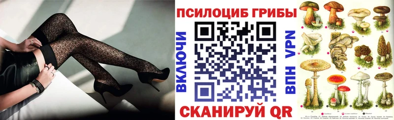 Галлюциногенные грибы MAGIC MUSHROOMS  KRAKEN ссылка  Пикалёво  продажа наркотиков 